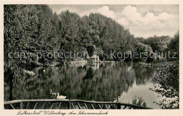 Wittenberg Lutherstadt Partie am Schwanenteich