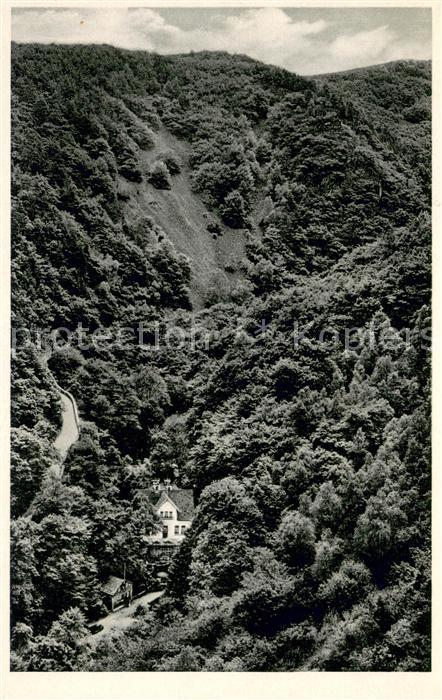 Trechtingshausen ---