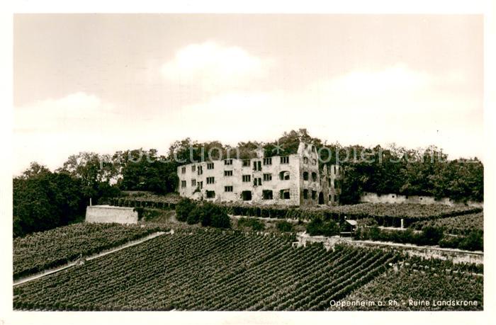 Oppenheim Ruine Landskrone