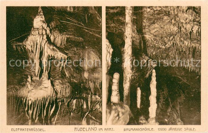 Ruebeland Harz Baumannshoehle 12000jaehrige Saeule Elefantenruessel
