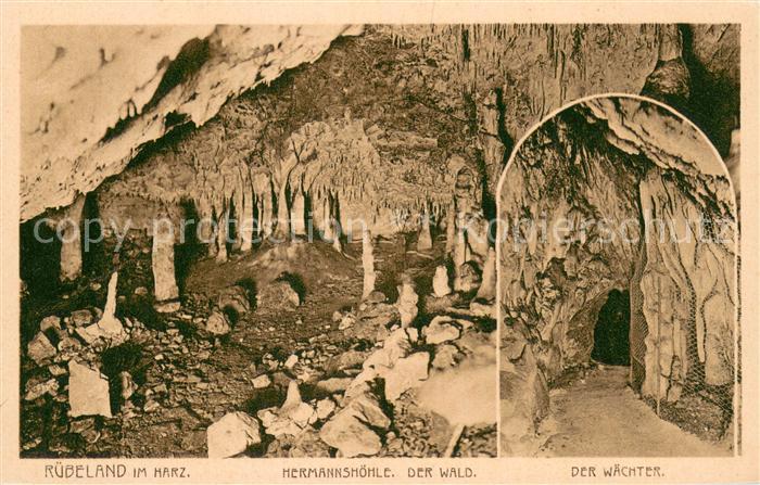 Ruebeland Harz Hermannshoehle Grotte Wald Waechter