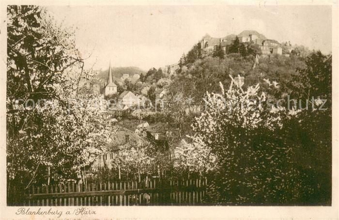 Blankenburg Harz Blick zum Ort und Schloss