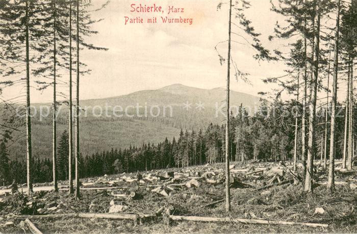Schierke Harz Waldpartie mit Blick zum Wurmberg