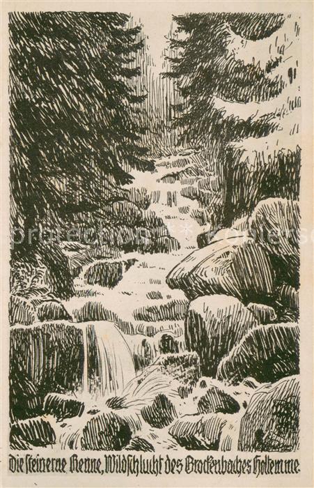 Hasserode Steinerne Renne Wildschlucht des Brockenbaches Holtemme Bergwart-Karte