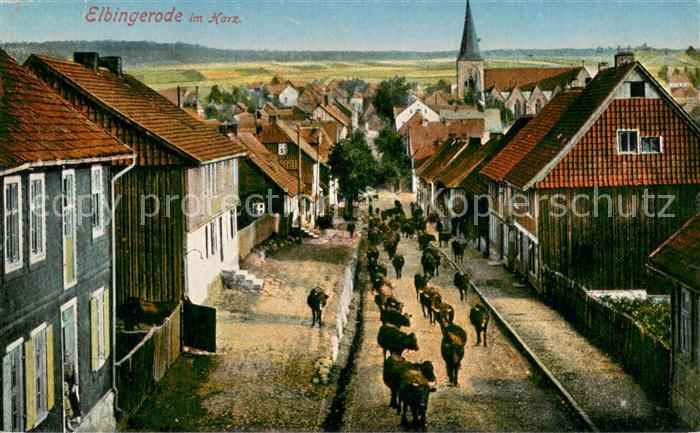 Elbingerode Harz Viehtrieb durch den Ort