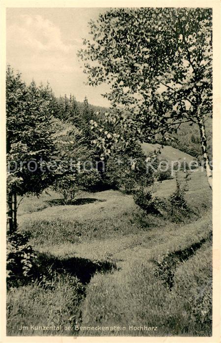 Benneckenstein Harz Partie im Kunzental Natur