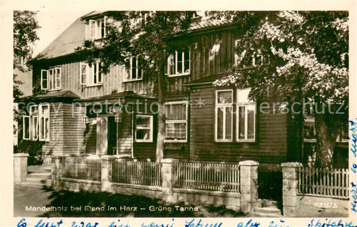 Mandelholz Harz Hotel Gaststaette Gruene Tanne