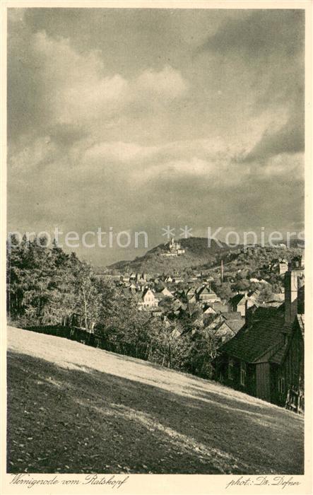 Wernigerode Harz Panorama mit Villa Ratskopf