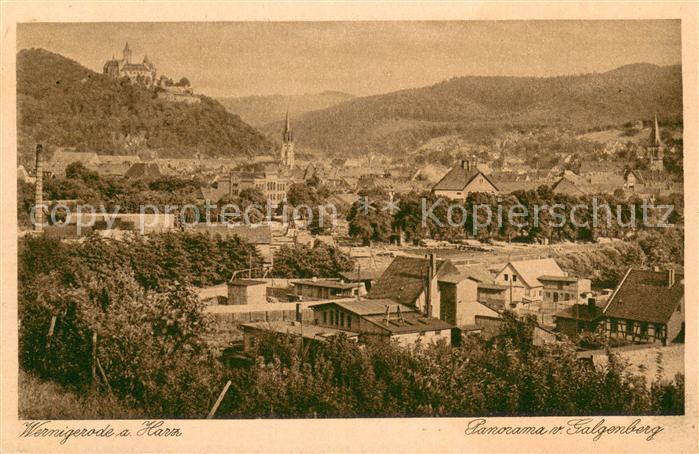 Wernigerode Harz Panorama vom Galgenberg Blick zum Schloss Kupfertiefdruck