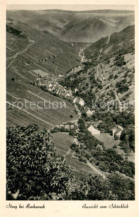 Steeg Bacharach Aussicht vom Schoenblick