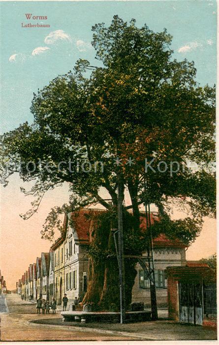 Worms Rhein Lutherbaum