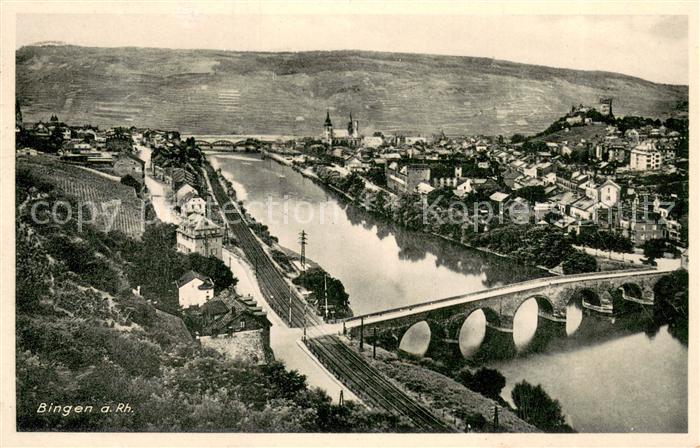 Bingen Rhein Panorama