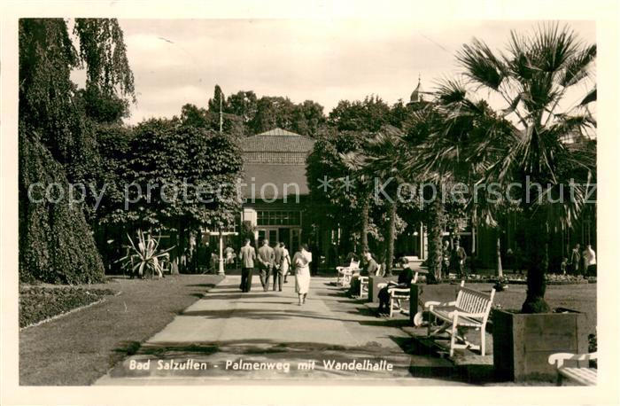 Bad Salzuflen Palmenweg mit Wandelhalle