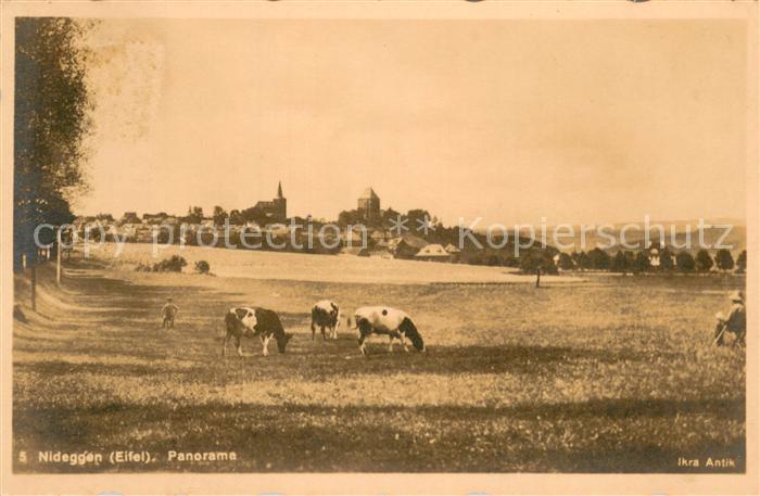 Nideggen Eifel Panorama Viehweide