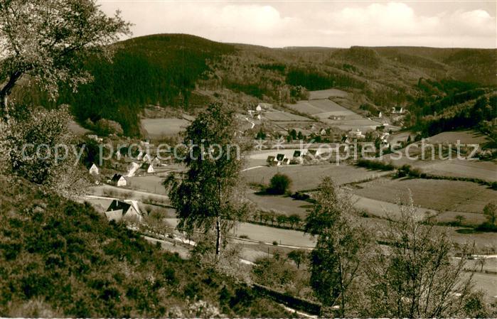 Berlebeck Panorama Blick vom Hahnberg Luftkurort im Teutoburger Wald