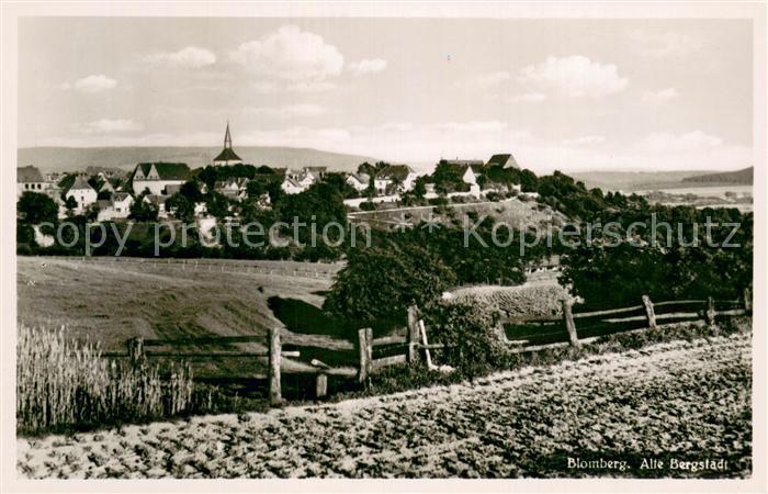 Blomberg Lippe Panorama alte Bergstadt