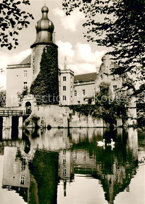 Gemen Wasserburg Schloss Schwaene
