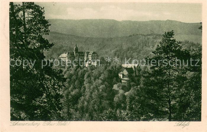 Schwarzburg Thueringer Wald Panorama Blick zum Schloss