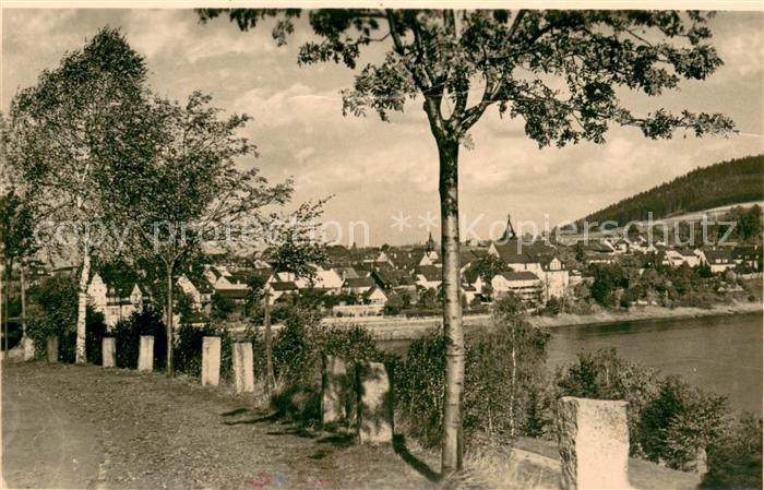 Saalburg Saale Partie an der Saale Handabzug