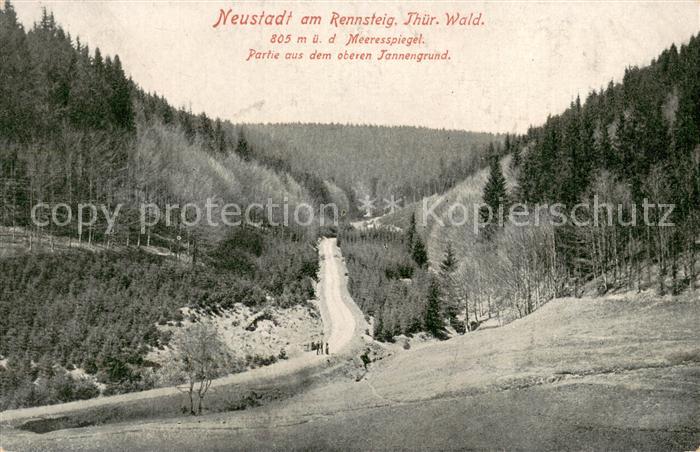 Neustadt Rennsteig Landschaftspanorama im oberen Tannengrund