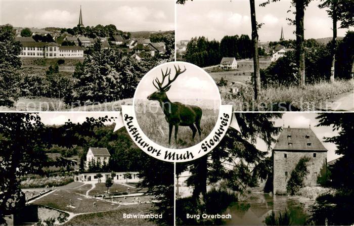 Much Panorama Waldweg Hirsch Schwimmbad Burg Overbach