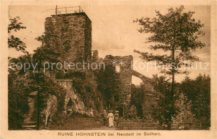 Neustadt Harz Ruine Hohnstein