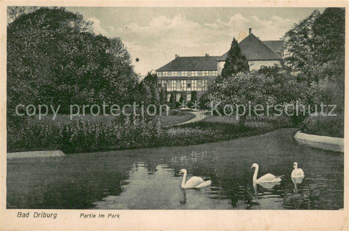 Bad Driburg Park Schwanenteich