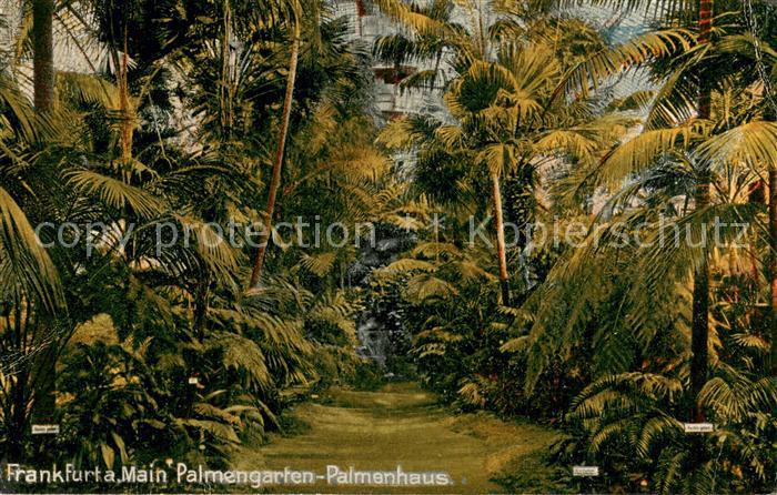 Frankfurt Main Palmengarten Palmenhaus