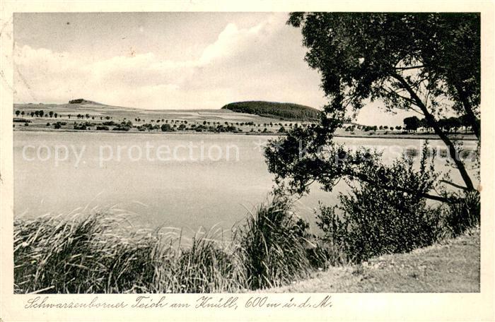 Schwarzenborn Knuell Teichpartie