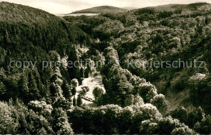 Bad Wildungen Helenental