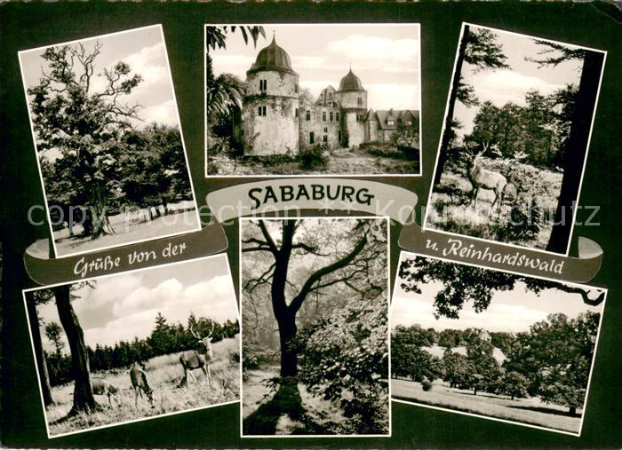 Hofgeismar Die Sababurg im Reinhardswald Teilansichten