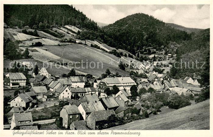 Sieber Herzberg am Harz Osterode Niedersachsen Blick vom oberen Promenadenweg