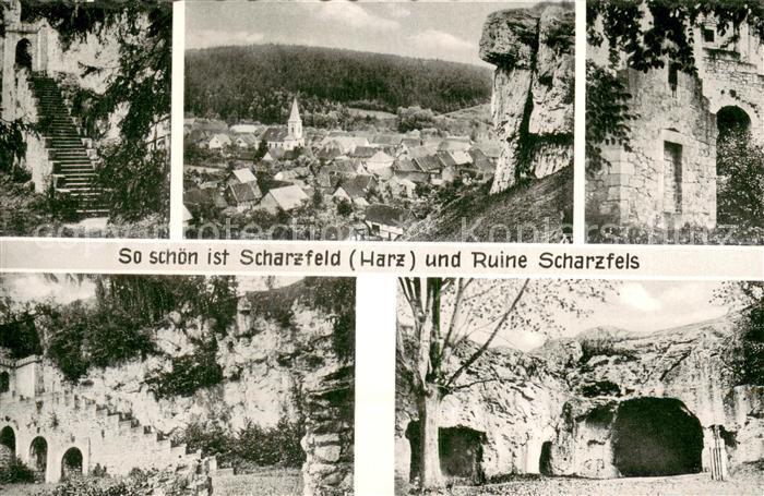 Scharzfeld Ruine Scharzfels Details Panorama