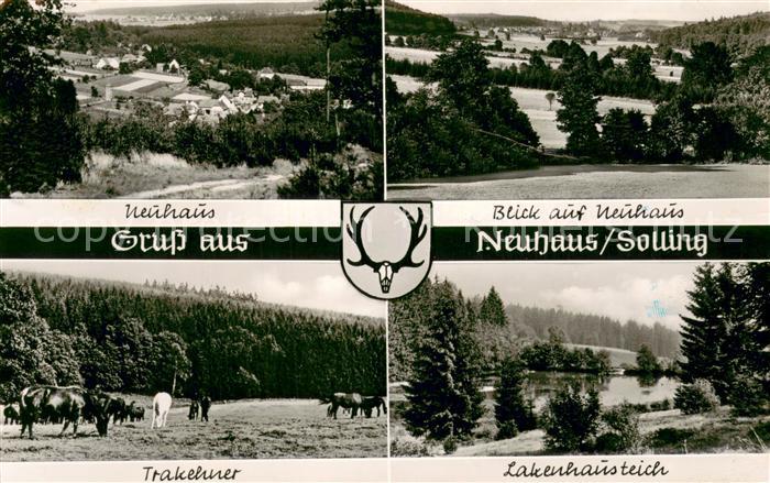 Neuhaus Solling Panorama Trakehner Pferde Lakenhausteich