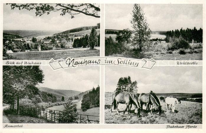 Neuhaus Solling Panorama Waldpartie Rumortal Trakehner Pferde