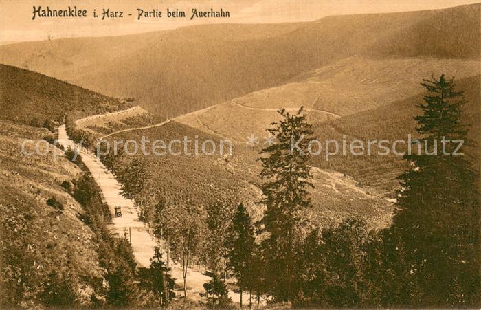 Hahnenklee-Bockswiese Harz Partie beim Auerhahn