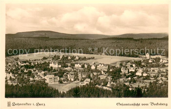 Hahnenklee-Bockswiese Harz Panorama vom Bocksberg