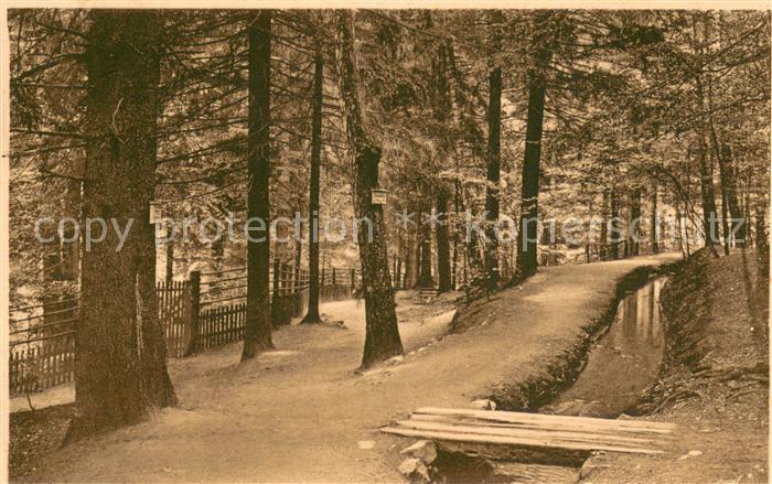 Bad Harzburg Philosophenweg