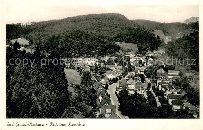 Bad Grund Blick vom Knesebeck