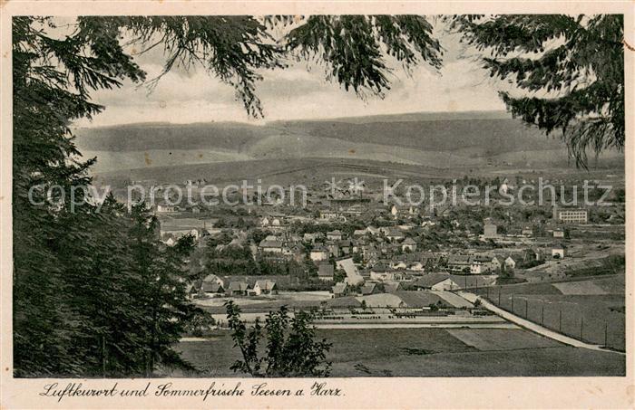 Seesen Harz Panorama