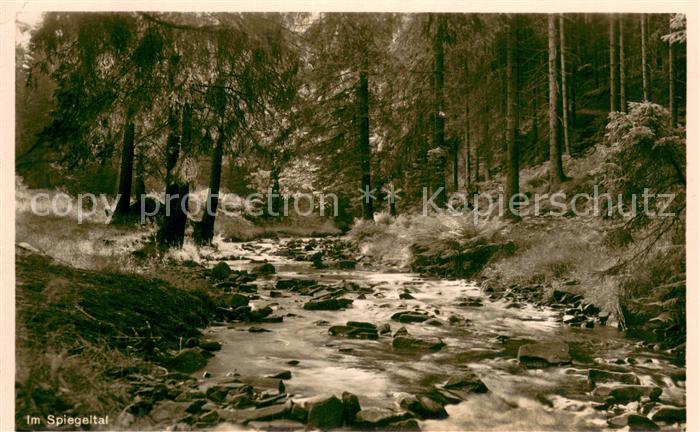 Hahnenklee-Bockswiese Harz Im Spiegeltal