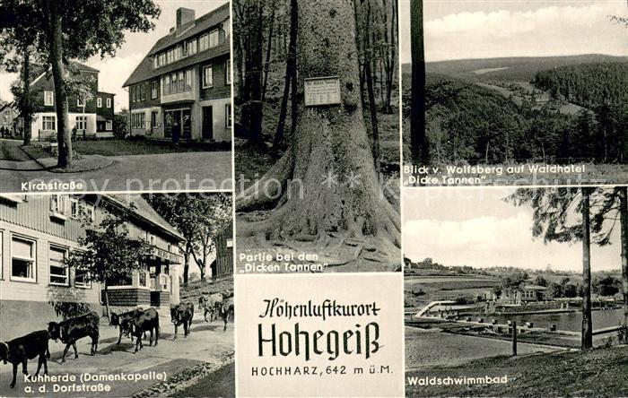Hohegeiss Harz Kirchstrasse Kuhherde Damenkapelle Dorfstrasse Partie bei den Dic