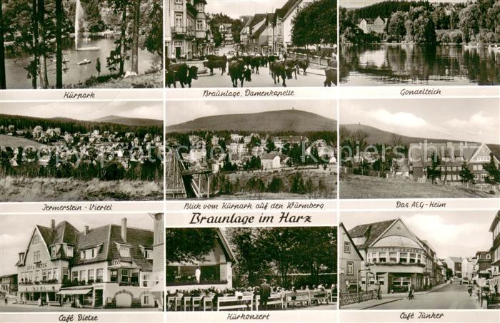 Braunlage Harz Kurpark Damenkapelle Gondelteich Jermerstein Viertel Panorama AEG