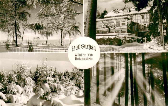 Bad Sachsa Harz Winter am Katzenstein