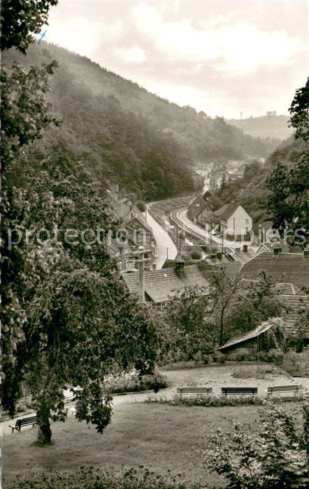 Wieda Blick vom Waldpark