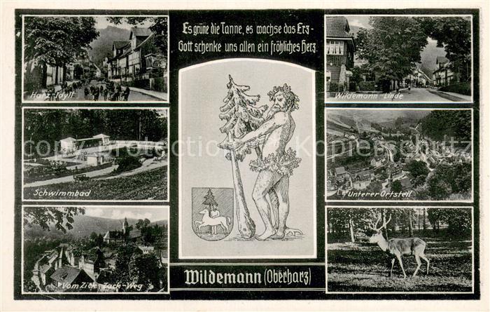 Wildemann Harz Goslar Niedersachsen Harz Idyll Schwimmbad Blick vom Zick-Zack We