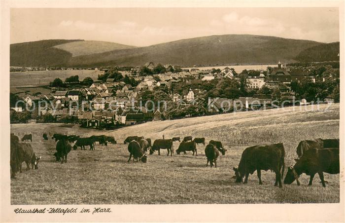 Clausthal-Zellerfeld Goslar Niedersachsen Panorama