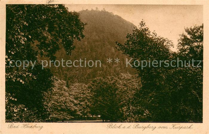 Bad Harzburg Blick auf den Burgberg vom Kurpark