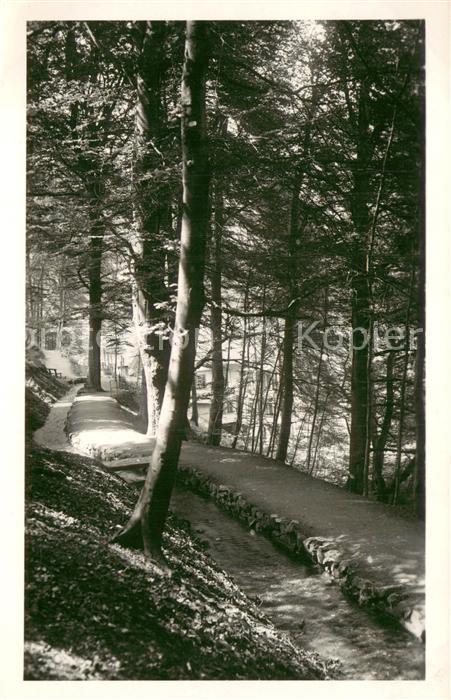 Bad Harzburg Philosophenweg