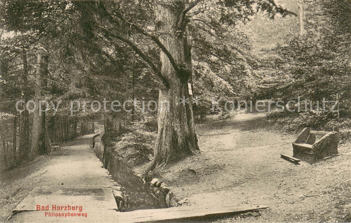 Bad Harzburg Philosophenweg